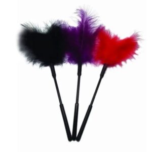 Pluma Traviesa Unidad