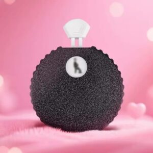 Ruleta de Posiciones Sexuales